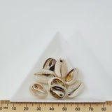 Cowrie CUT Shells (25 grams) - Cream & Purple